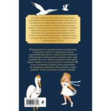 Маэлла и Башня господина "В"