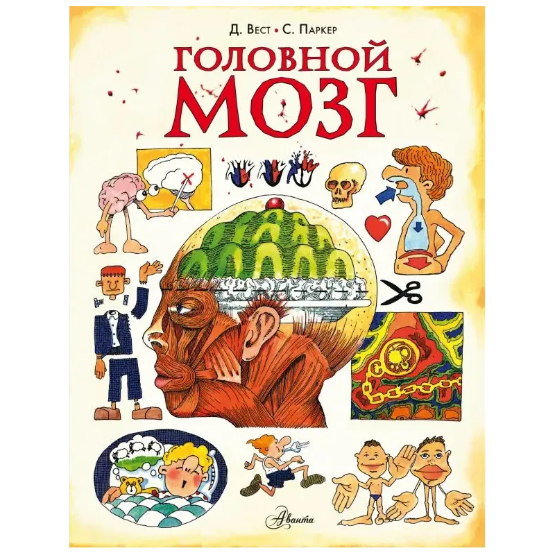 Головной мозг