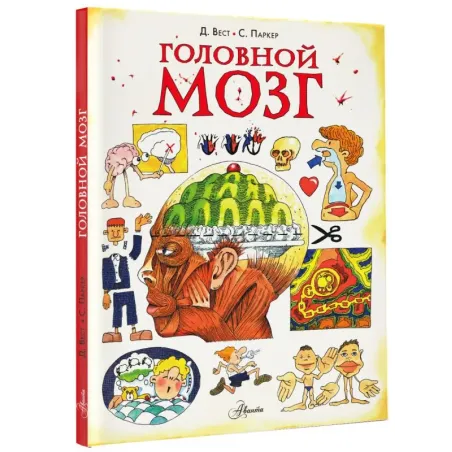 Головной мозг