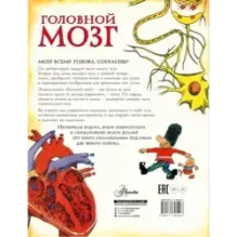 Головной мозг