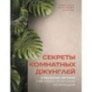 Секреты комнатных джунглей. О чем молчат растения и как понять, что им нужно на самом деле