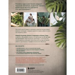 Секреты комнатных джунглей. О чем молчат растения и как понять, что им нужно на самом деле