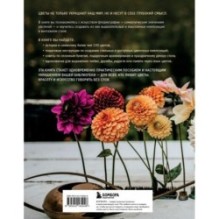 Язык любви цветов: флориография и букеты, говорящие о чувствах