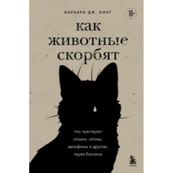 Как животные скорбят. Что чувствуют кошки, слоны, дельфины и другие, теряя близких