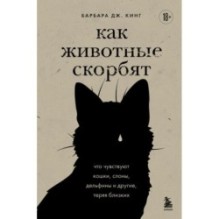 Как животные скорбят. Что чувствуют кошки, слоны, дельфины и другие, теряя близких