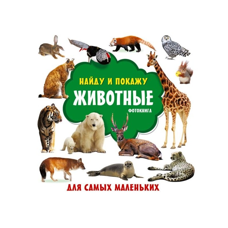 Животные. Фотокнига Животные. Фотокнига