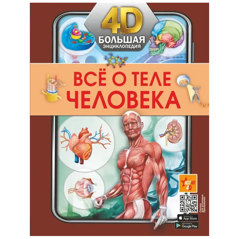 Всё о теле человека