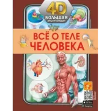 Всё о теле человека