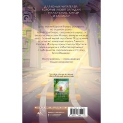 Капибара Клара и пирамида судьбы