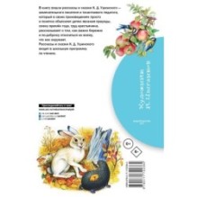 Рассказы и сказки