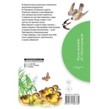 Рассказы о природе