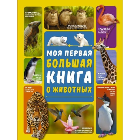 Моя первая большая книга о животных
