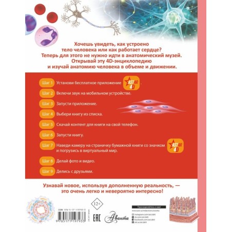 Тело человека