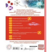 Тело человека