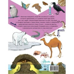 Энциклопедия животных: на суше, под водой и в воздухе