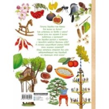 Энциклопедия деревьев мира