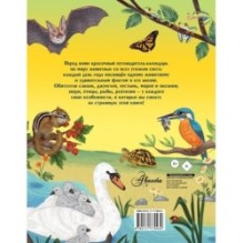 Животные каждый день. Большая энциклопедия