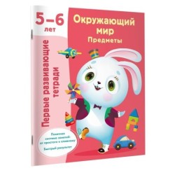 Окружающий мир. Предметы. 5-6 лет