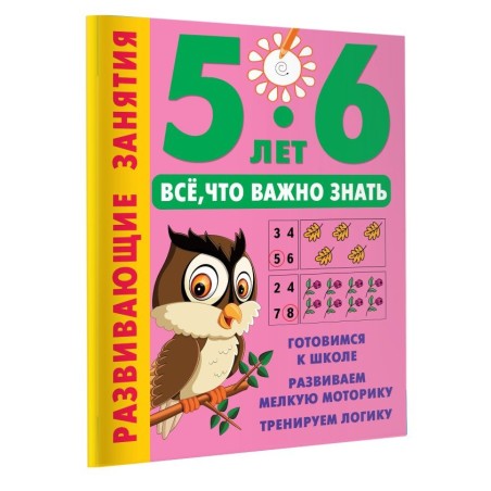 Развивающие занятия. Всё, что важно знать. 5-6 лет