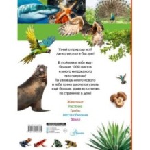 100 тысяч почему на каждый день. Природа