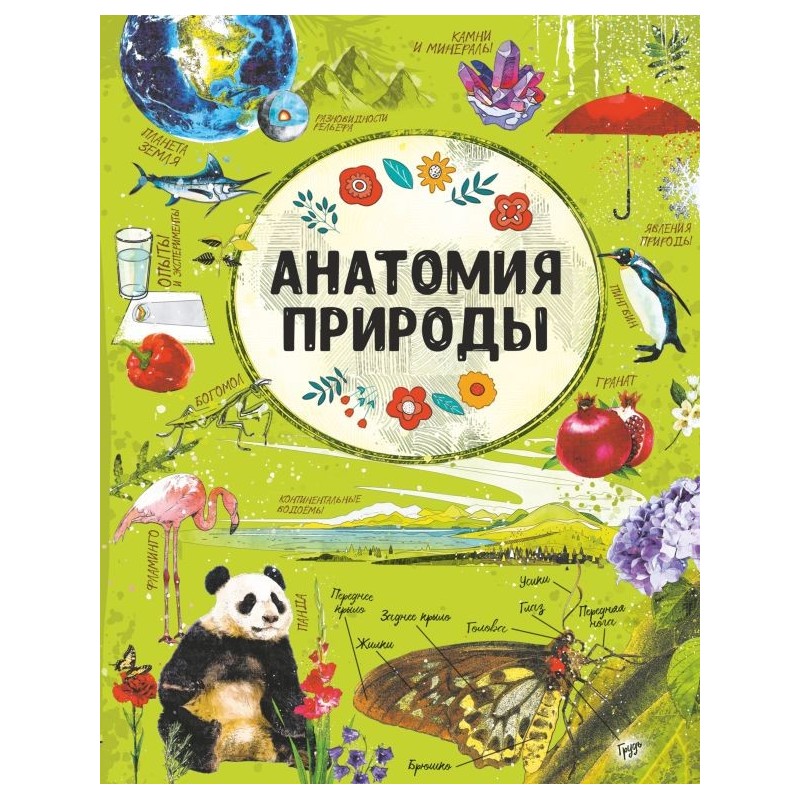 Анатомия природы