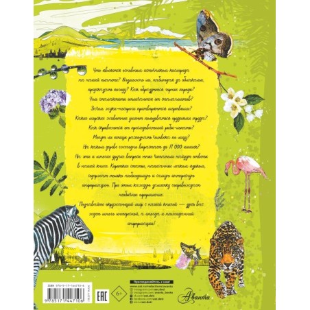 Анатомия природы