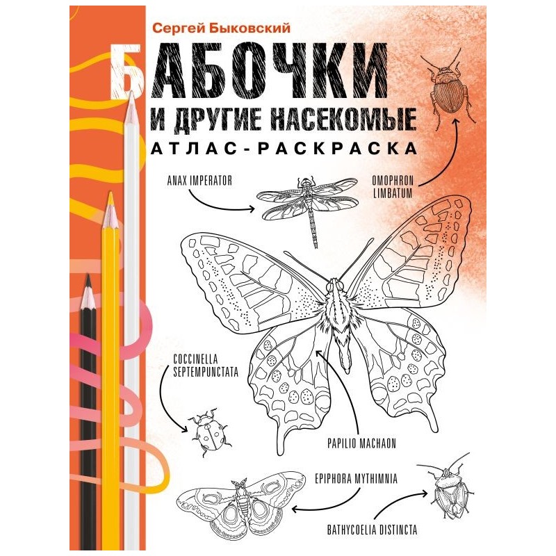 Бабочки и другие насекомые. Атлас-раскраска