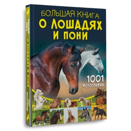 Большая книга о лошадях и пони. 1001 фотография