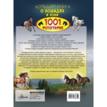 Большая книга о лошадях и пони. 1001 фотография