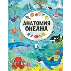 Анатомия океана
