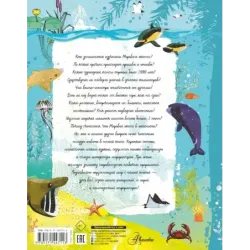 Анатомия океана