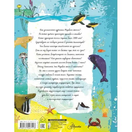 Анатомия океана