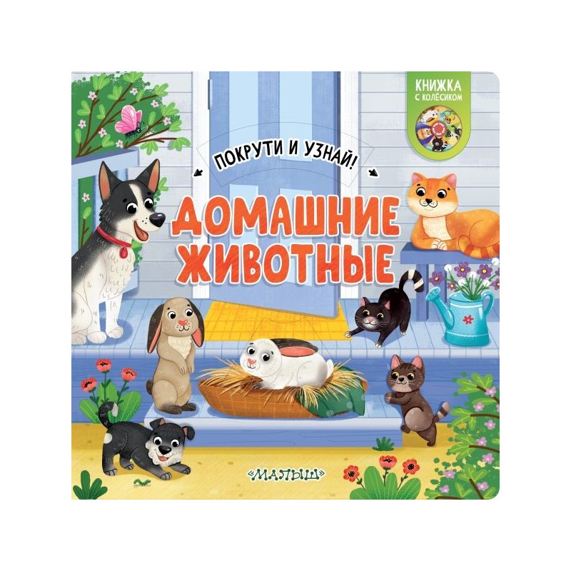 Домашние животные