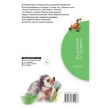 Зеленый шум. Рассказы