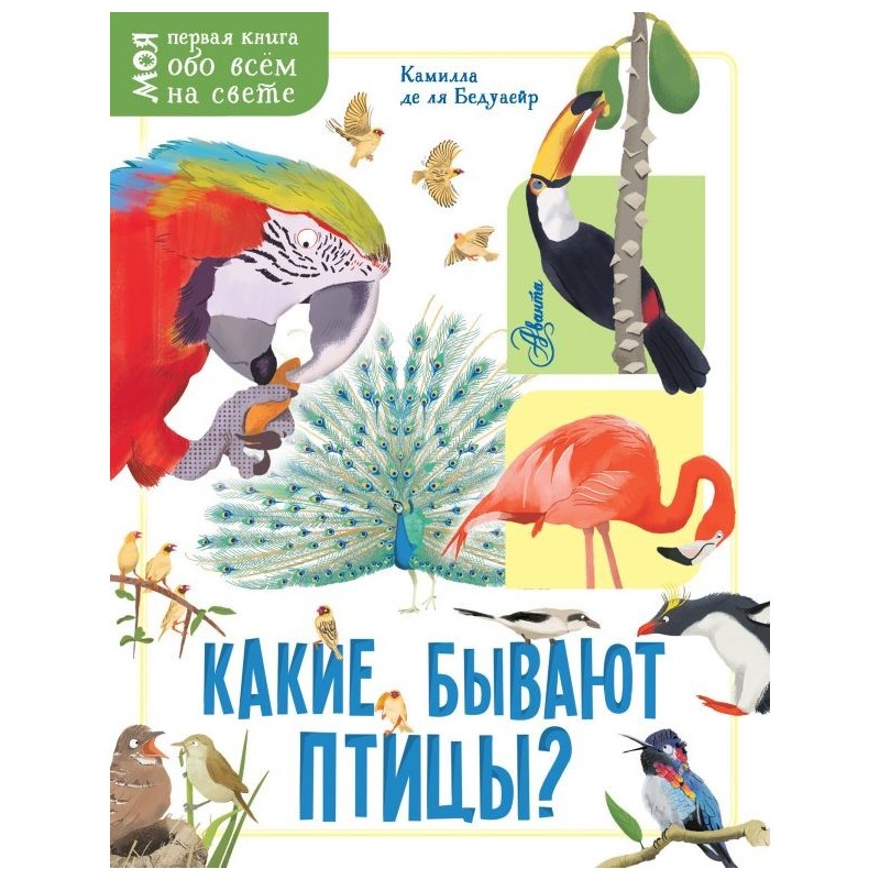 Какие бывают птицы?