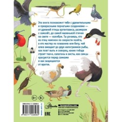 Какие бывают птицы?