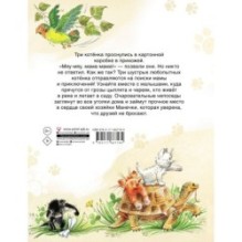 Курочкин котенок