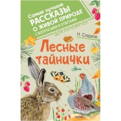 Лесные тайнички