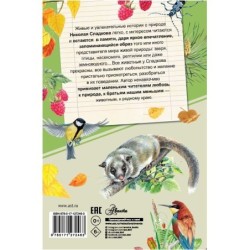 Лесные тайнички