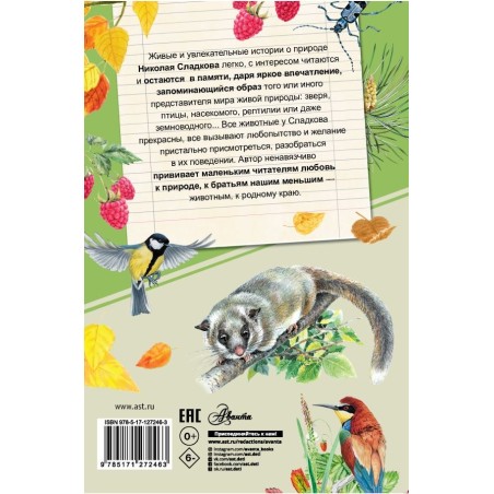 Лесные тайнички