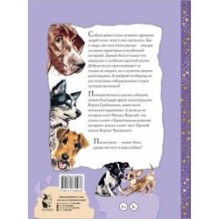 Удивительные собачьи истории