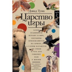 Царство игры