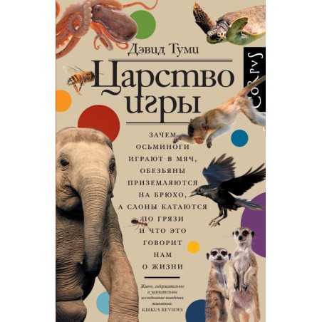 Царство игры