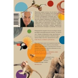 Царство игры