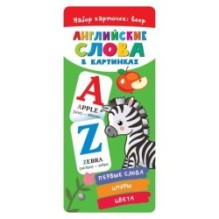Английские слова в картинках