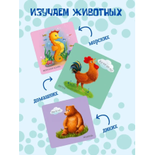 Книжка для купания. Дикие животные