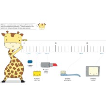 У меня будет братик или сестрёнка