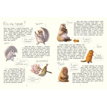 Летяга Такуми в Японии