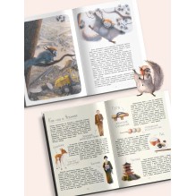 Летяга Такуми в Японии