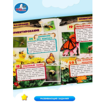 Насекомые. 100 фактов (Энциклопедия с развивающими заданиями А5)